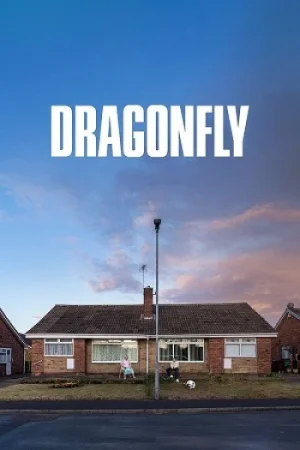 Download Dragonfly (2025) WEB-DL {English With Subtitles} Full Movie 480p [300MB] | 720p [800MB] | 1080p [1.9GB]